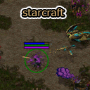  Starcraft    