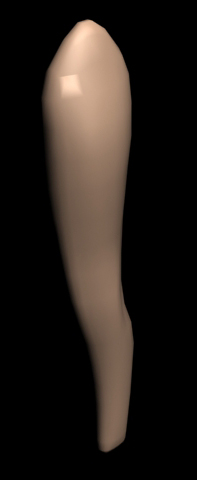 3d модель женской ножки